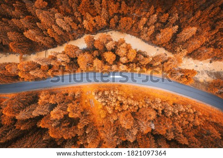 Aerial view of road in beautiful orange forest at sunset in autumn. Colorful landscape with roadway, trees, river and car in mountains in fall. Top view from drone of winding road in Europe. Travel