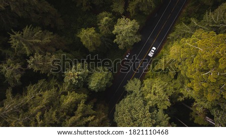 Aerial View Giant Redwood Trees & vehicle car on Newton B. Drury Scenic Parkway road in Redwoods State and National Park, an American park famous for its spectacular trees hikes drives & biodiversity. Royalty-Free Stock Photo #1821110468