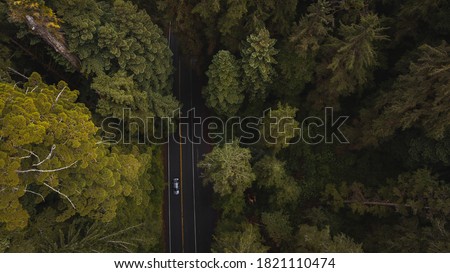 Aerial View Giant Redwood Trees & vehicle car on Newton B. Drury Scenic Parkway road in Redwoods State and National Park, an American park famous for its spectacular trees hikes drives & biodiversity. Royalty-Free Stock Photo #1821110474