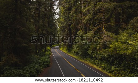 Aerial View of Giant Redwood Trees on Newton B. Drury Scenic Parkway road in Redwoods State and National Park, an American park famous for its spectacular trees, hikes, drives, & biological diversity. Royalty-Free Stock Photo #1821110492