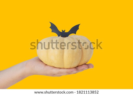 female hand holds yellow halloween pumpkin with black silhouette of paper bat on top on bright orange background. Halloween concept, decoration for celebration halloween. Copy space for text.