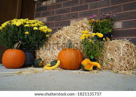 Fall pumpkin set up with autumn flowers and gourds 