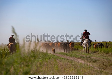 mans on horseback herding cattle