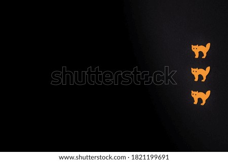 Happy Halloween holiday concept. Cat  on an orange background. Layout of a Halloween greeting card with a copy of the space. Flat bed, top view