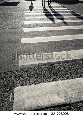 Abstract asphalt road background with pedestrian zebra and shadows citizens on sunny day