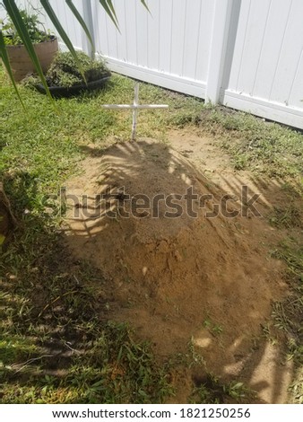 home backyard family pet grave
