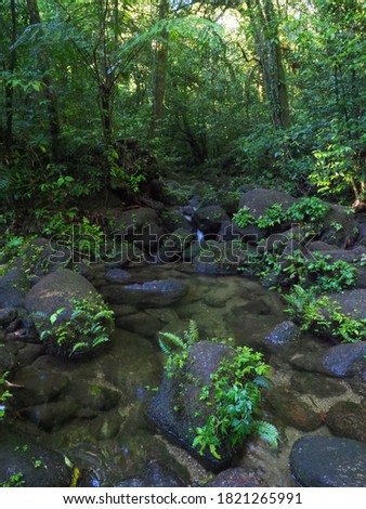 Peaceful Waterfall stock photo.Flowing stream through some rocks, blurred motion.