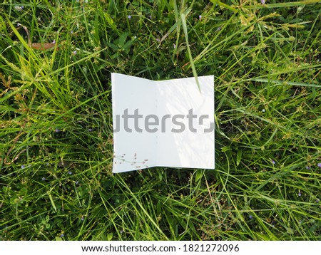 notepad on the background of grass, concept of work and study in nature