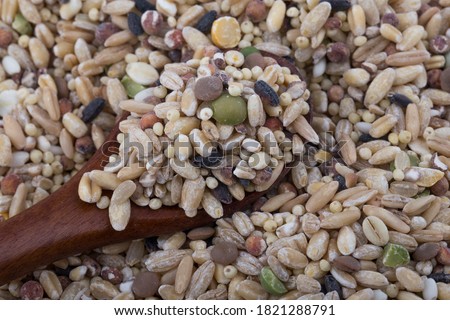 miscellaneous grains, millet, various grains. Royalty-Free Stock Photo #1821288791
