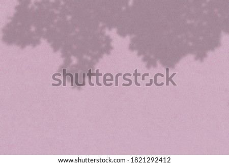 Summer background of plant shadows. Shadow of tree leaves on a lilac wall. White and black to overlay a photo or mockup.