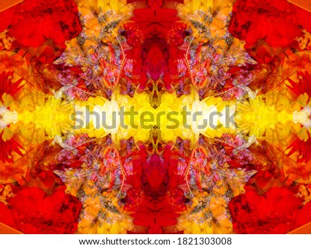 symmetrical abstract background produced when photographing an object through a mirror