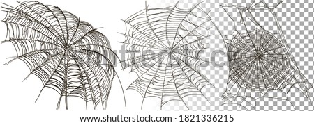 Halloween spider web vector set on transparent background. Cobweb decoration elements isolated on white background