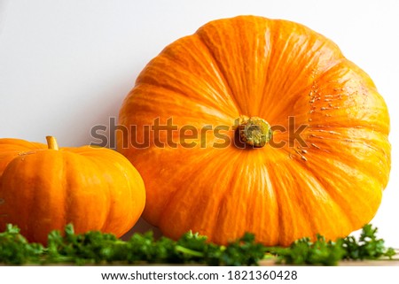 Two ripe pumpkins, large and small, close-up.
