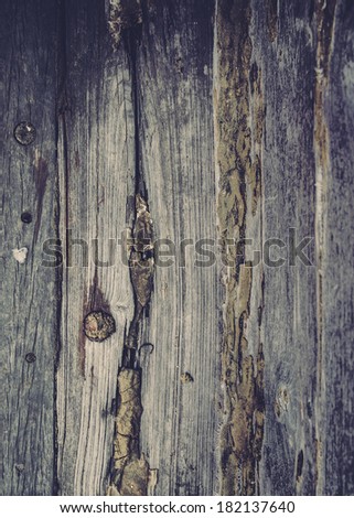 Grunge aged vignetted background texture very old with moldy wood wall