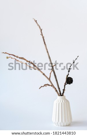 minimal style interior decor. branches in a white vase. hipster home deroration. fir tree cone on a branch. scandinavian interior. vertical size.