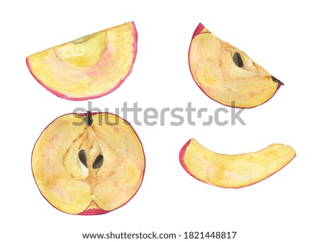 Sliced apple clip art elements isolated on white background. Watercolor hand drawing illustration of part of red apple. Perfect for print, sticker, card, pattern, textile.