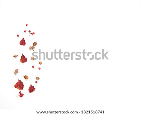 Autumn composition,autumn leaves,acorn,berries on white background. Top view, copy space