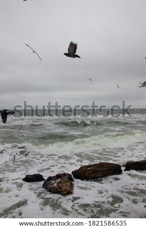 Storm at sea. Stones in the water. Seagulls fly low over the water.
