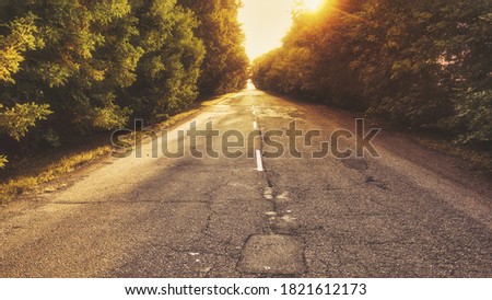 Cinematic mystical picture of the highway leaving the distance among the trees and bushes in the dawn sun