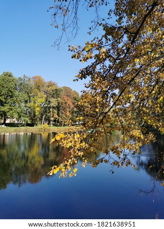 Trees with autumn and leaves of red, yellow and green are reflected in the water of the pond of the city park on a sunny day.