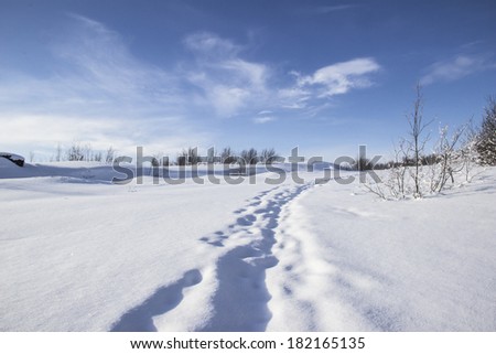 human traces and winter landscape Royalty-Free Stock Photo #182165135