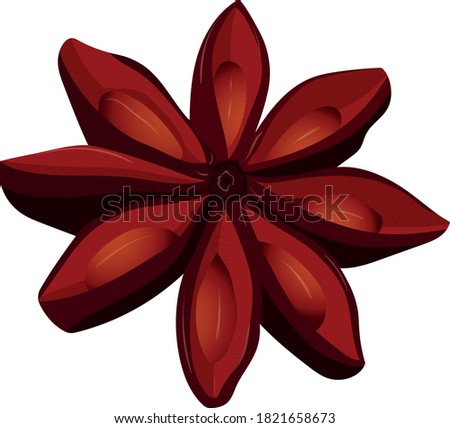 vector illustration of star anise. delicious holiday seasoning. the bright part of the picture.
