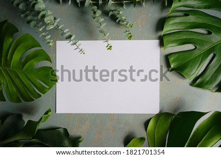 White blank paper over green background with fresh green plants Monstera deliciosa, Eucalyptus, Staghorn Fern or Platycerium bifurcatum. (top view, flat lay, selective focus, space for text)