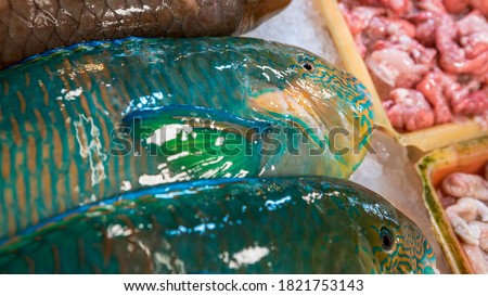 Colorful parrotfish are sold in a popular marketplace where many traditional foods can be purchased, in Taiwan. Shopping chilled Parrotfish on display in a local asian fish market.