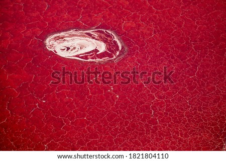 Africa, Tanzania, Aerial view of patterns of red algae and salt formations in shallow salt waters of Lake Natron Royalty-Free Stock Photo #1821804110