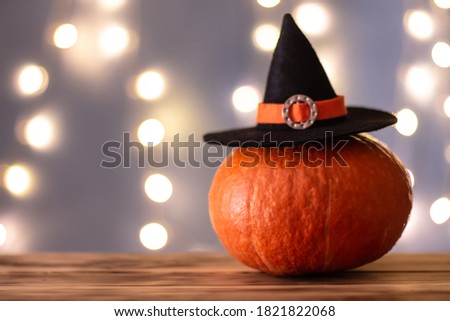 Halloween orange pumpkin in a witch hat on a bokeh background. Copy space.