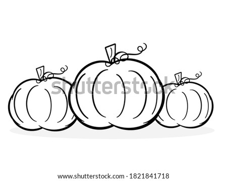 Autumn Pumpkins - Autumn harvest pumpkins