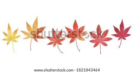 Six japanese maple leaves. Watercolor painting. Gradation of autumn colors from green to yellow.