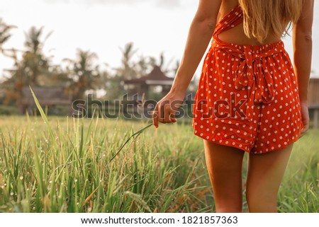 Woman touching rice field by hand, sunset light