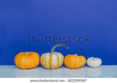 Fall Festive Background with Pumpkins and Squash. Halloween Decor. Fall Sale. 