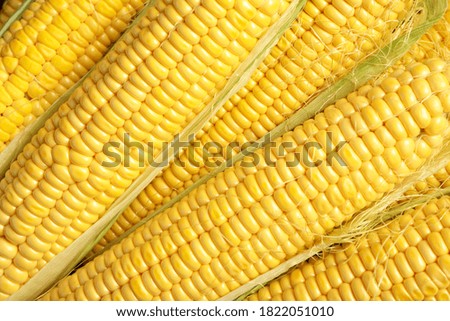 Tasty sweet corn cobs as background, top view