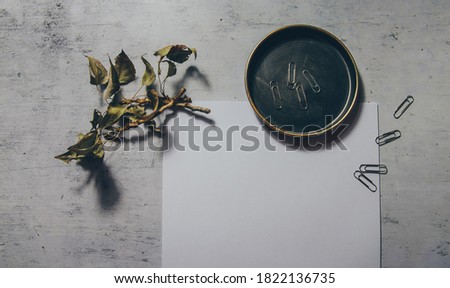 Moody dark feminine mock-up flat lay photo of autumn stationery with white blank paper and dry authentic fall tree branches and paper clips. Online blog web banner. Styled stock photo, web banner.