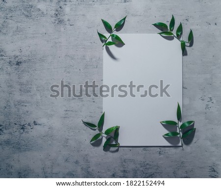Greek-style vintage feminine wedding mock-up stationery or invitation with blank white paper decorated by green leaves of eucalyptus. Stock photo with grey grunge background with the moody atmosphere.