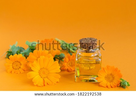 Natural cosmetic oil with calendula flowers on orange background. Healthy skin care. Aromatherapy, spa and wellness concept