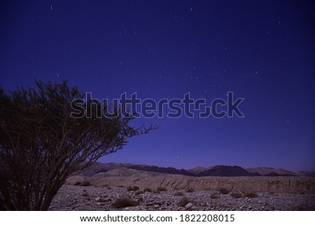 tree and stars in the desert long exposure