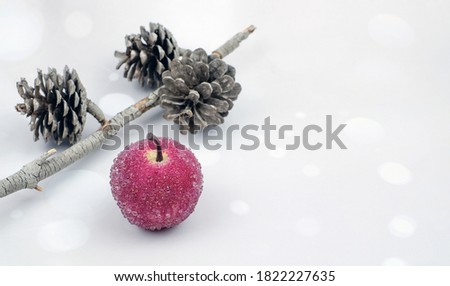 Christmas border design with pine cone and christmas apple, bokeh backround with copy space