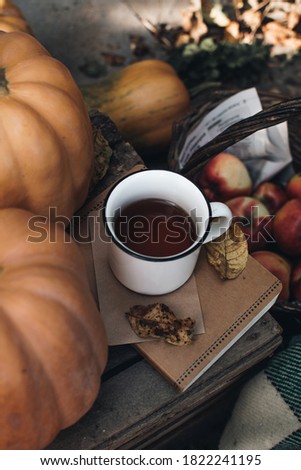 Fall styled composition. Autumn breakfast still life. Scandinavian hygge concept. Morning concept. Cozy autumn scene with pumpkins and apples. Flat lay. Home decor.
