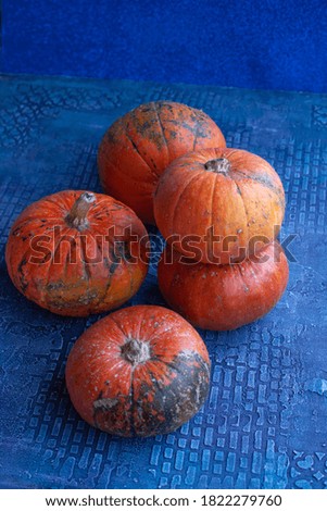 Orange pumpkins on a blue background