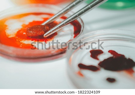 Science and medicine concept.scientist wit tongs Meat sample in glassware and science experiments.Laboratory glassware containing chemical liquid,