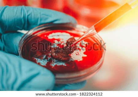 Science and medicine concept.scientist analyzing and dropping a sample into Meat in glassware and science experiments.Laboratory glassware containing chemical liquid,