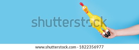 Hand with funny rubber toy chicken with open mouth. Isolated on blue background, copy space template, banner.