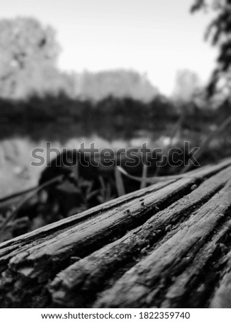 Logs by the Huron River