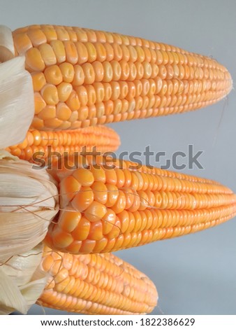 corn kernels with selective focus