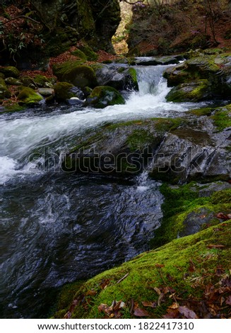 Landscape of the stream at the valley in early spring - Tokenkyo, Nagano, Japan