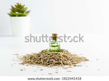 Rosemary essential oil in small vintage bottle mockup. Heap of dry rosemary leaves and organic oil in medicine jar. Herbs essence, tincture, extract or infusion on white background