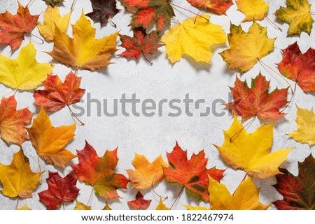 Autumn mood composition. Frame made of autumn dried leaves on white background. Flat lay, top view, copy space